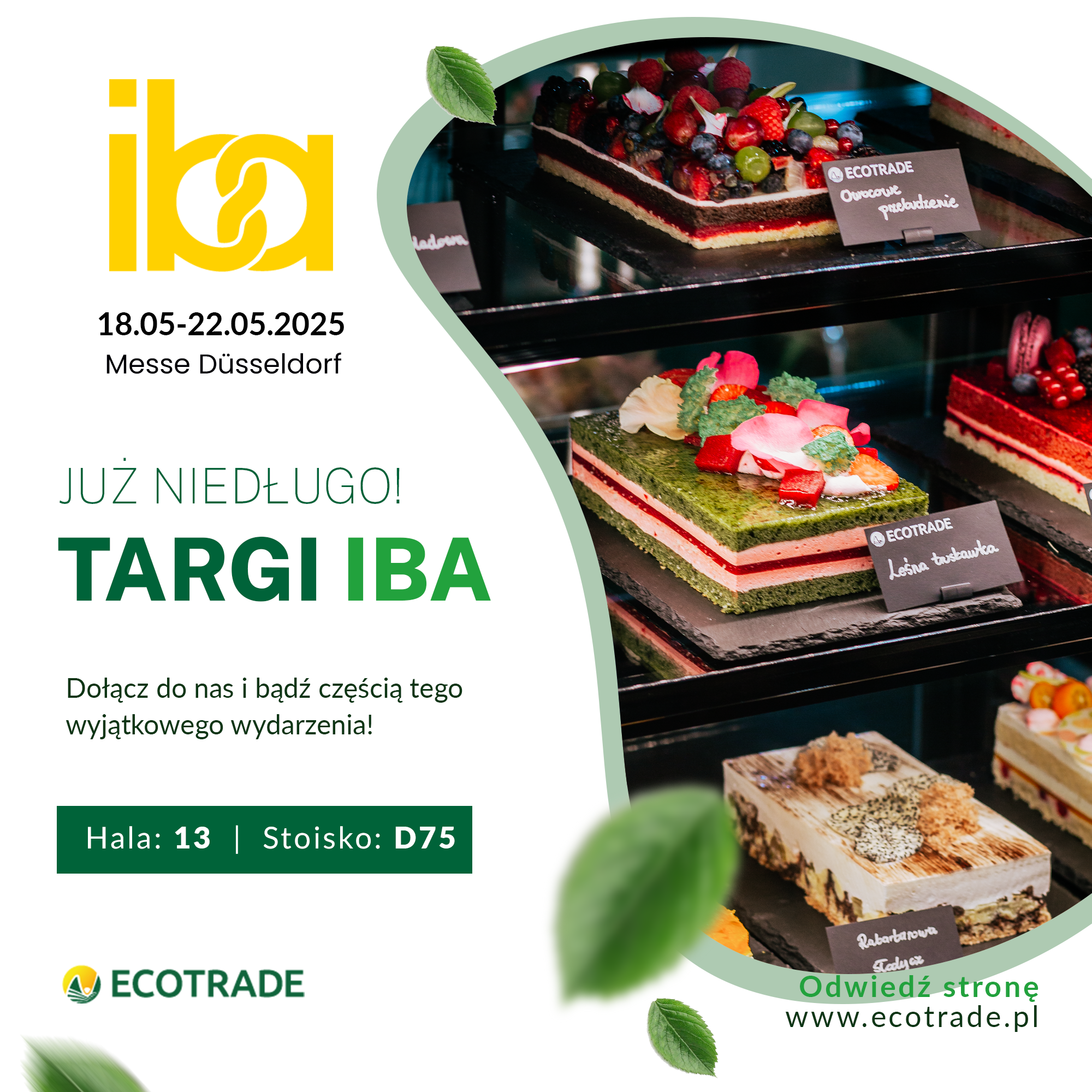 TARGI IBA